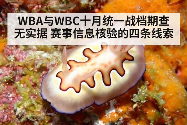 WBA与WBC十月统一战档期查无实据 赛事信息核验的四条线索